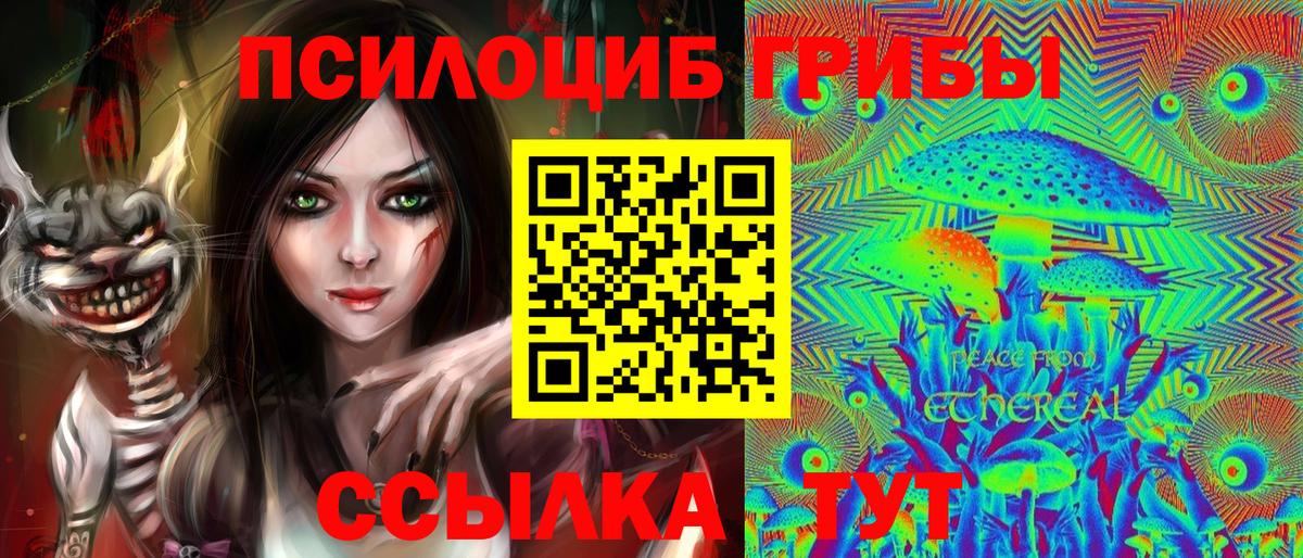 Якутск  Галлюциногенные грибы прущие грибы  Вход с VPN 